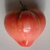 ohgreen Zaden: tomaat coeur de boeuf rose
