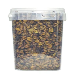 ohgreen Zijderupsen 10 mm. 2,5 liter