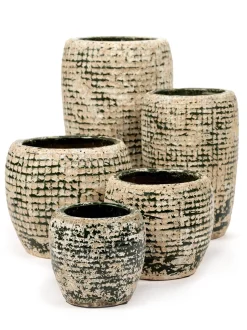 ohgreen Rustic Pot reptile l12,5xb12,5xh11,5